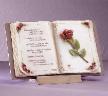 Musical Keepsafe Book